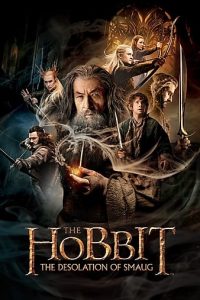 The Hobbit: The Desolation of Smaug (2013) Movie