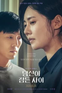 While You Were Sleeping (2024) (Korean) Movie