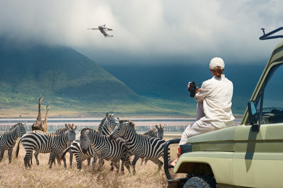 A Guide to Responsible Wildlife Tourism