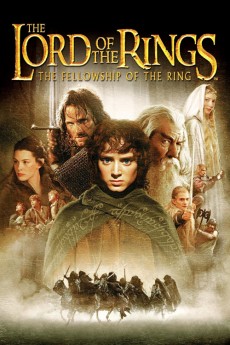 The Lord of the Rings 3: The Fellowship of the Ring (2001) Movie 